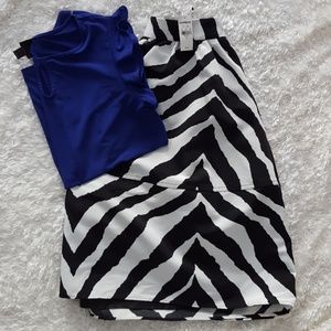 BNWT Express a-line skirt